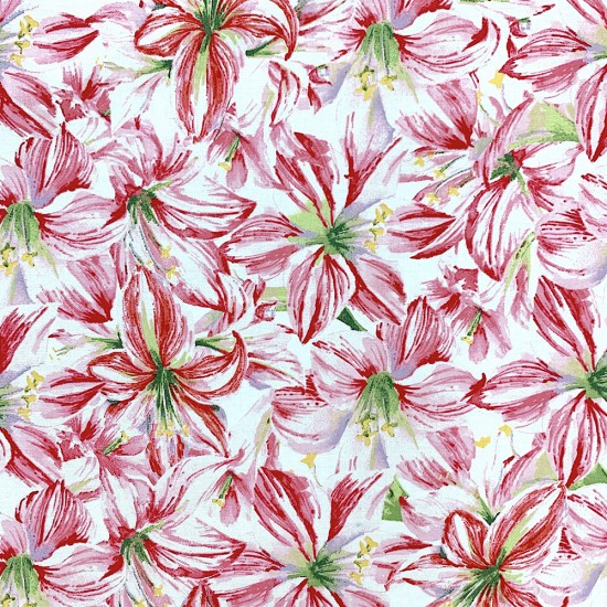 Coton à motif - Hibiscus Rose